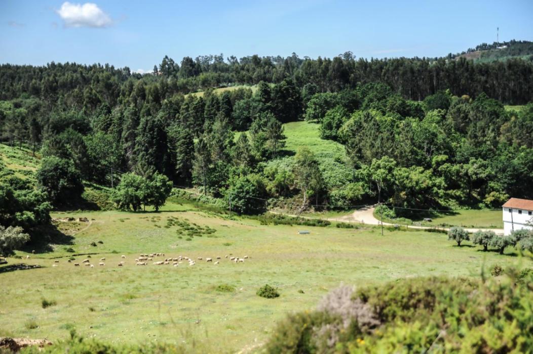 Vumba Agroturismo 阿加尼尔 外观 照片