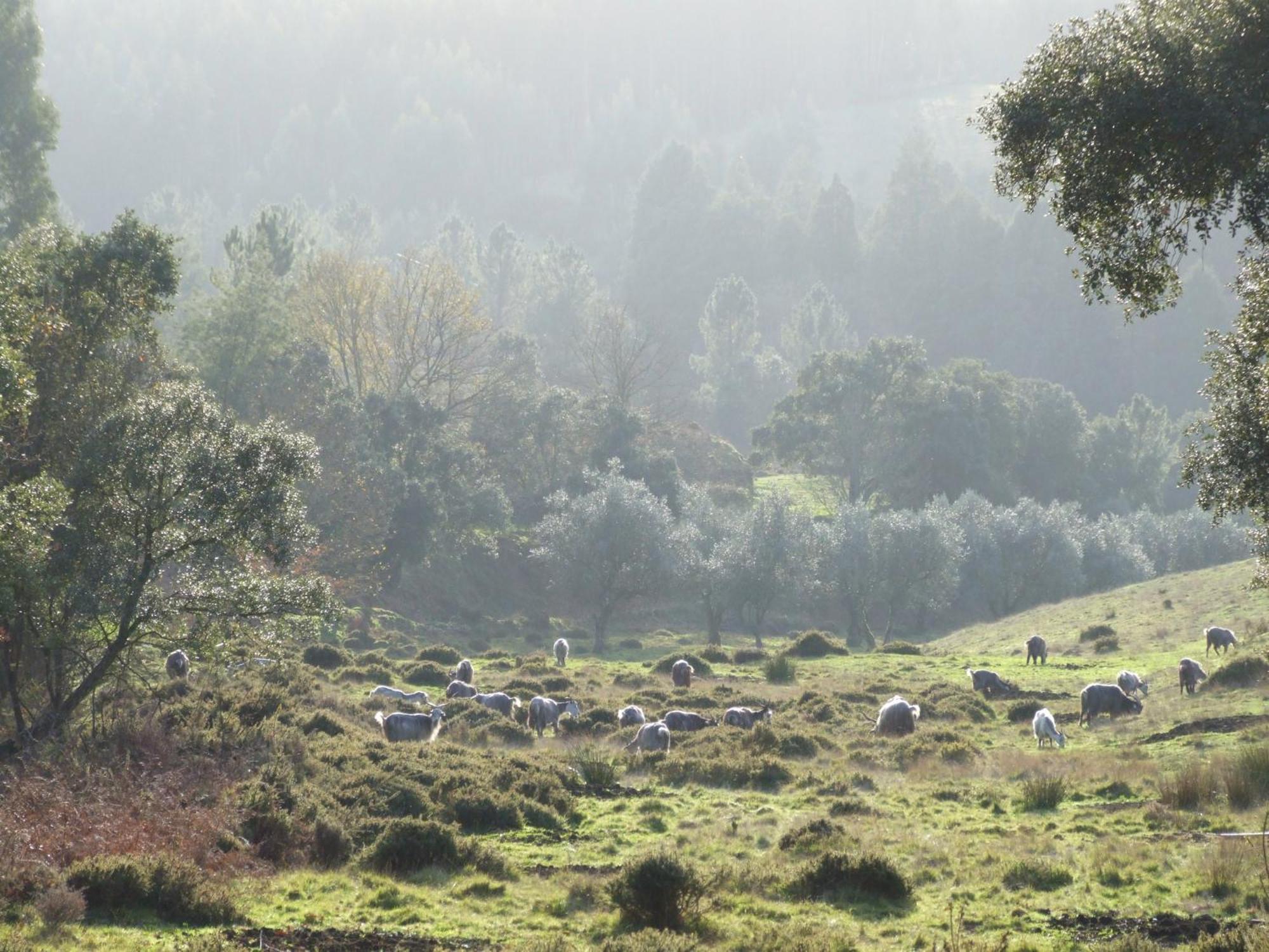 Vumba Agroturismo 阿加尼尔 外观 照片