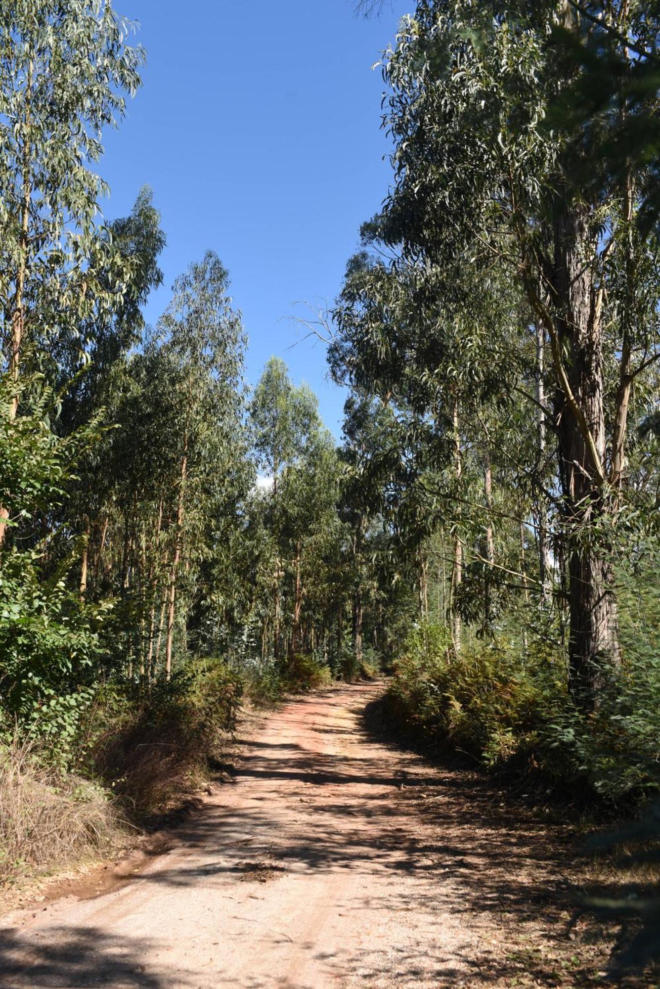 Vumba Agroturismo 阿加尼尔 外观 照片